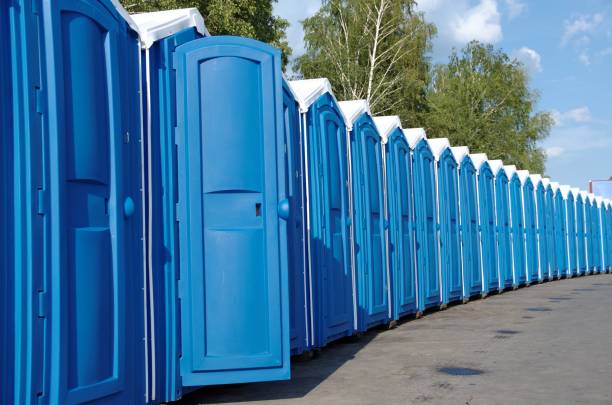 Best Sanitation services for porta potties  in Cold Springs, NV